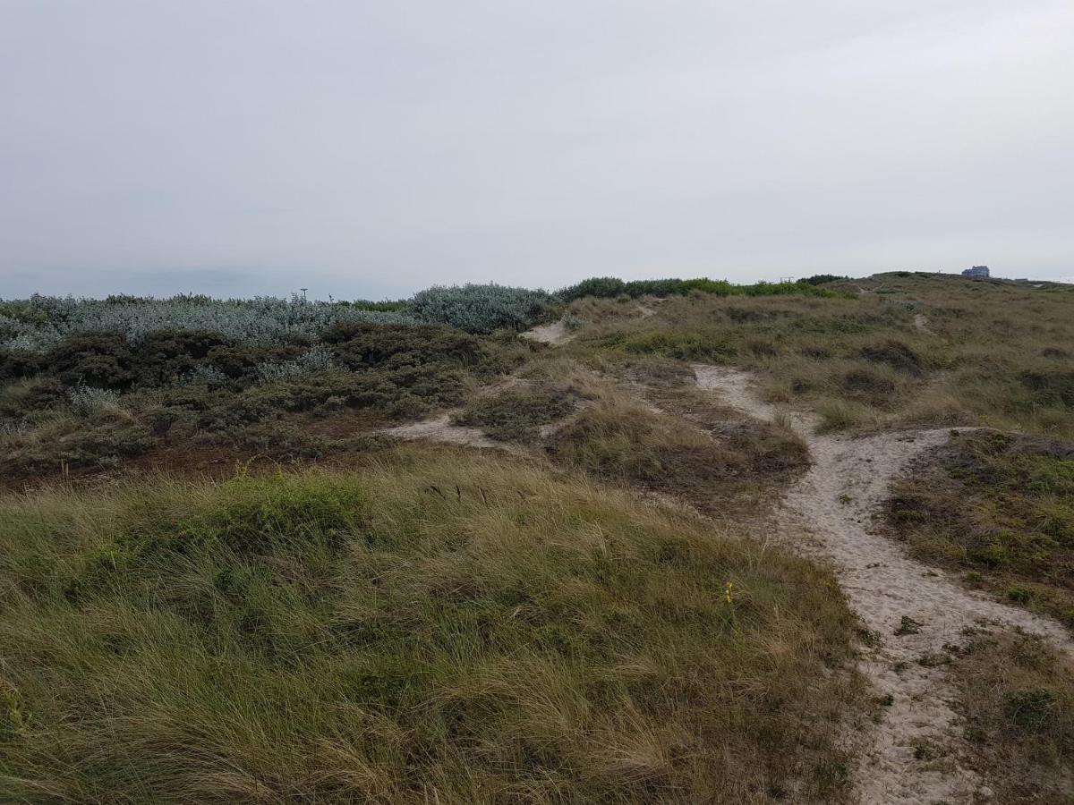 Seacottage Blankenberge - Wenduine De Haan Ngoại thất bức ảnh