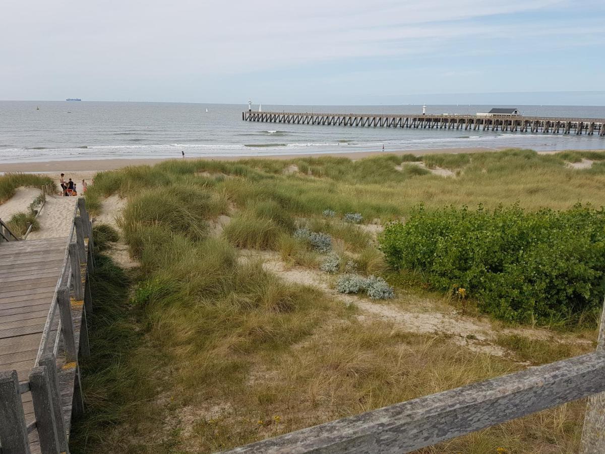 Seacottage Blankenberge - Wenduine De Haan Ngoại thất bức ảnh